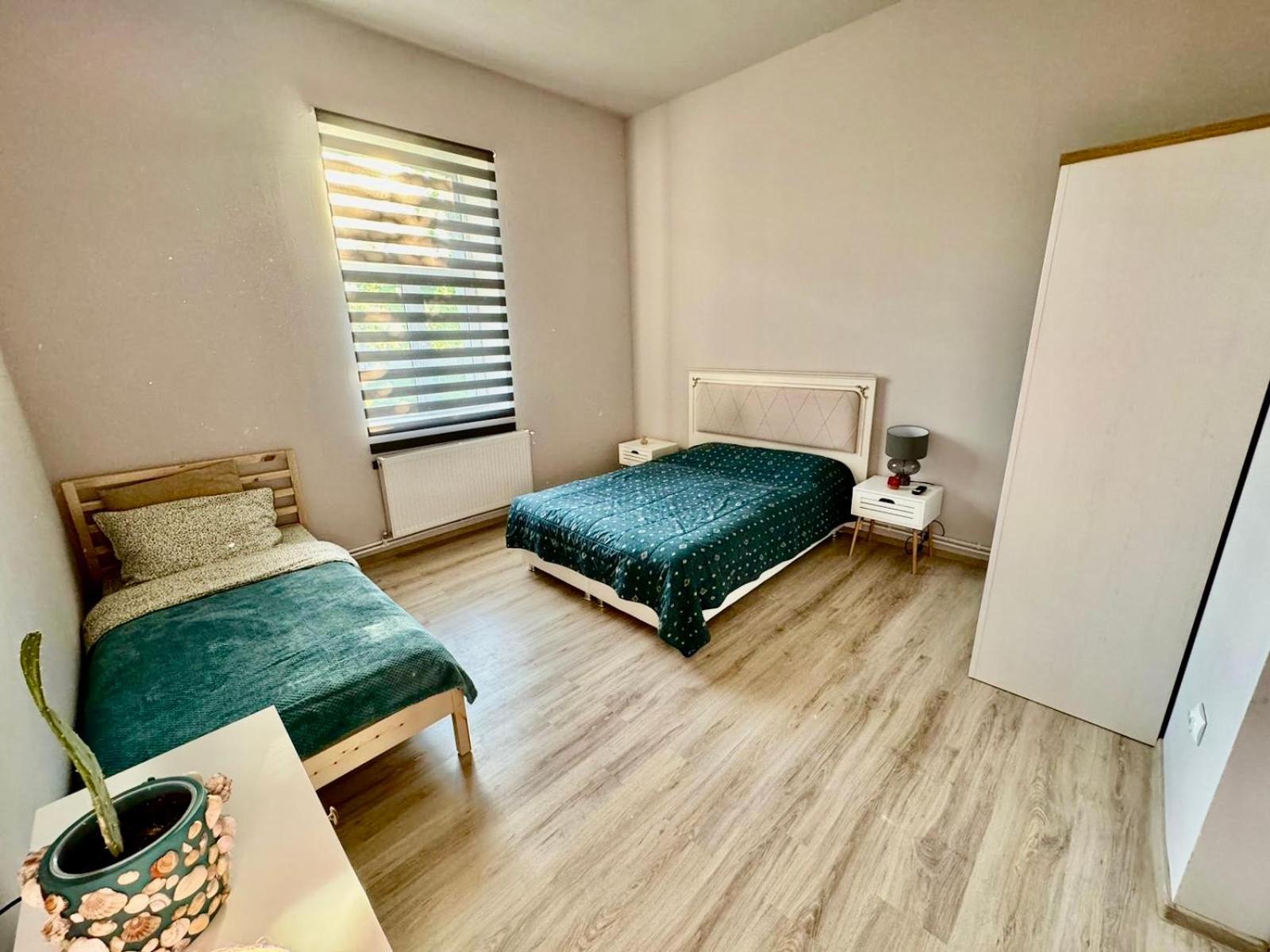 Serbian House Bed & Breakfast Timişoara Eksteriør bilde
