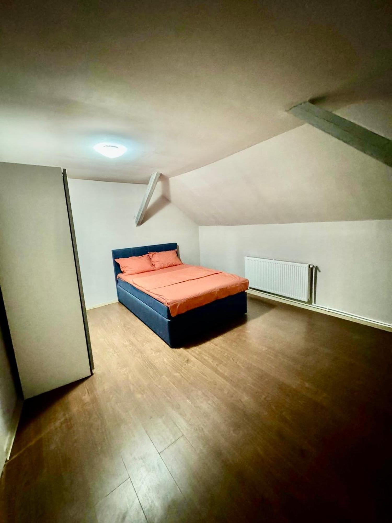 Serbian House Bed & Breakfast Timişoara Eksteriør bilde