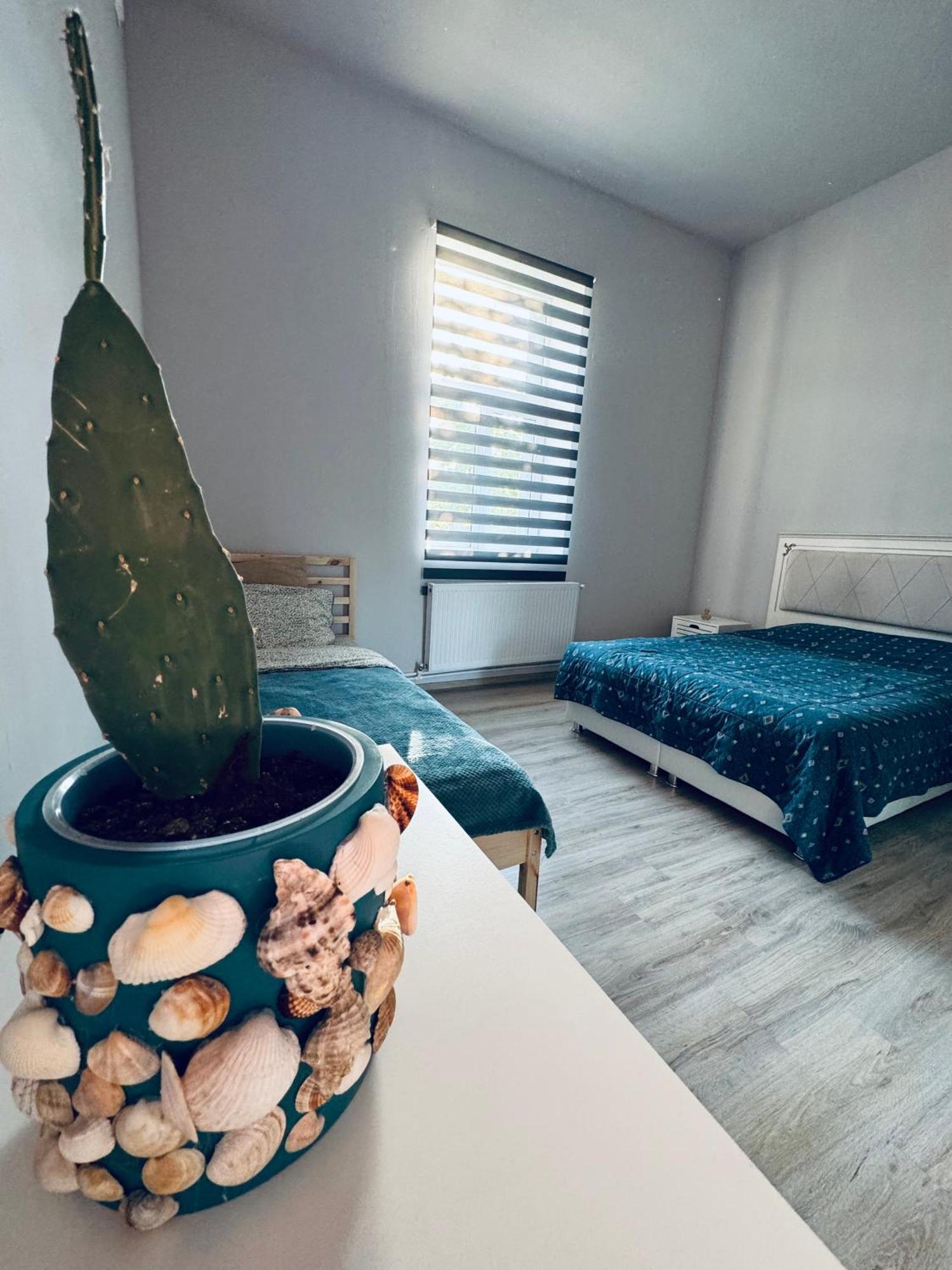 Serbian House Bed & Breakfast Timişoara Eksteriør bilde
