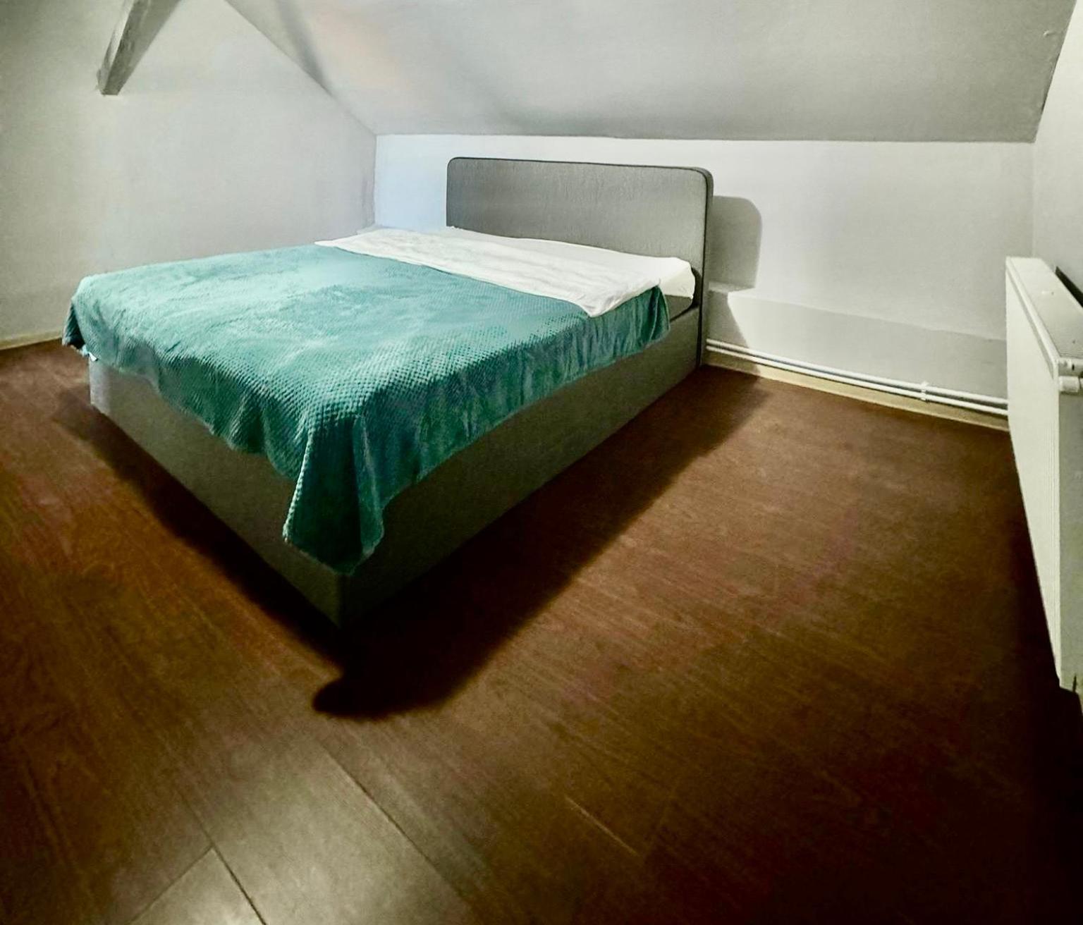 Serbian House Bed & Breakfast Timişoara Eksteriør bilde